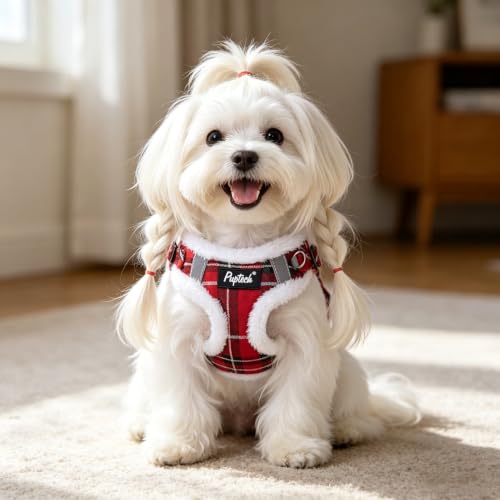 PUPTECK Dog Harness and Leash Set Small Sized, Step in No Pull Adjustable Puppy Cat Harness Reflective Pet Vest by PUPTECK - Image 6