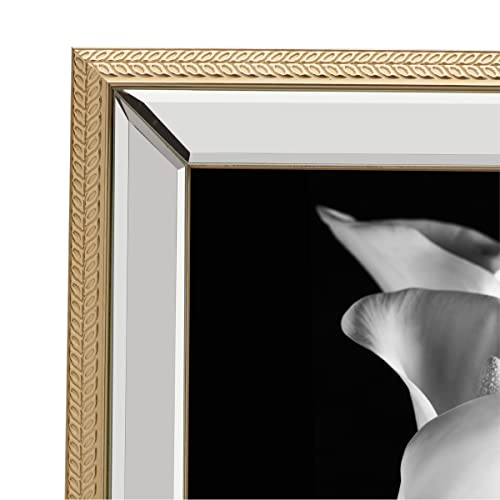 Mikasa 11 X 13 Inch Mirror Frame, Display 8 X 10 Photo, Gold Rope #TOP3