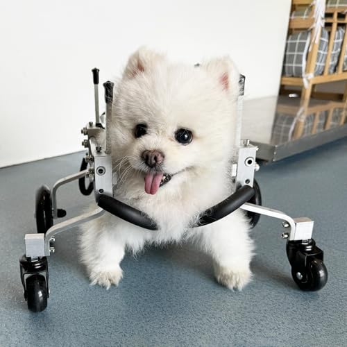 Fauteuil roulant pour chien réglable avec attelles jambes 4 roues