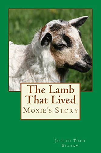 The Lamb That Lived --- MOXIE's Story