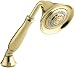 KOHLER K-10286-PB Forte Multifunction Handshower, Vibrant Polished Brass