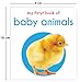 My First Book of Baby Animals