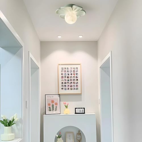 Lámpara de techo de flor pequeña para iluminar pasillos oscuros y techos bajos 7