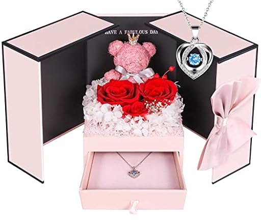 ADDWel San Valentin Regalos Mujer, Rosa Eterna con Collar de Plata 925 y Oso de Rosas, Regalo de Cumpleaños para Madre Novia Esposa Mama, Caja de Joyería Hipoalergénico | Ya disponible en tu tienda friki favorita! En mundofriki.es!