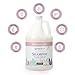 Ginger Lily Farms Botanicals Moisturizing Shampoo for All Hair Types, 100% Vegan & Cruelty-Free, Whispering Rose Scent, 1 Gallon (Pack of 4)
