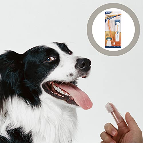 POPETPOP Kit de 2 conjuntos de pasta de dente para cães e gatos, kit de cuidados dentários com escov