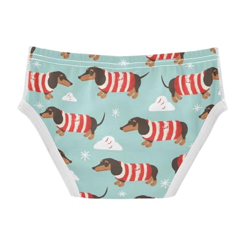 Wusikd Dachshund Dogs Boys' Underwear Cotton Red Boys Briefs Soft Toddler Underwear 2T2
