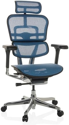 hjh OFFICE Silla de Oficina Silla giratoria ERGOHUMAN GEN2 Malla ...