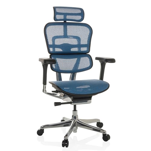 hjh OFFICE Silla de Oficina Silla giratoria ERGOHUMAN GEN2 Malla Diseño Original con Soporte Lumbar...