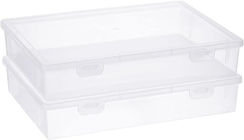 BTSKY Caja de almacenamiento de plástico transparente con tapa de solapa, organizadores multiusos para manualidades y caja de almacenamiento,