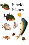 Saltwater Florida Fishes