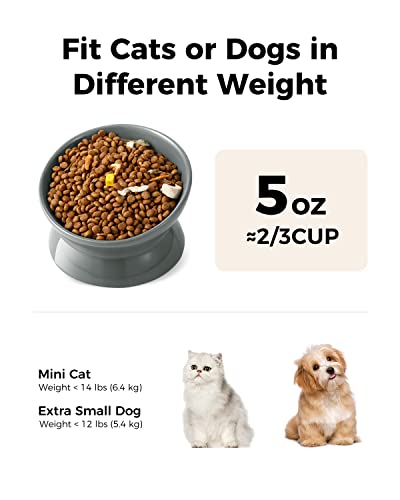 Image of LoeJan Elevated Cat Food Bowl, 5 Oz Ceramic Raised and Tilted Water Bowl, Anti Vomiting and Protect Pets' Spines Dishes for Small Dog, Fat Faced Cat, Kitten (Gray, 1 Pack)