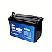 12V 100Ah LiFePO4 Lithium Battery, Deep Cycle RV LiFePO4 Battery with Low-Temp Protection, BCI Group 31, 100A BMS, 1280Wh, Max.15000 Cycles, 10-Year Lifespan for RV, Trolling Motor, Marine, Solar