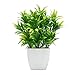 OFFIDIX Faux Plants Mini Potted Plastic Fake Green Plant Artificial Plants Aloe with White Square Pots for Home Decor (White Square Plastic Pots)