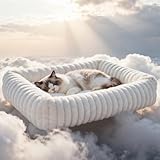 Cat Beds for Indoor Cats, Square Self Warming Cat Bed Orthopedic Pet Bed with Pillow Super Soft Rabbit Fur Small Dog Beds, Calming Plush Kitten Bed with Removable Washable Cover & Anti-Slip Bottom