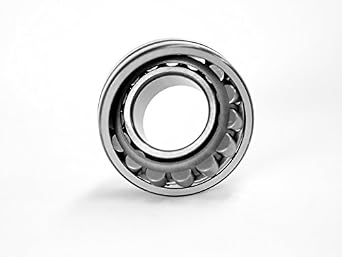 FAG Bearings DOUBLE ROW SPHERICAL ROLLER BEARINGS 22336-E1-C3