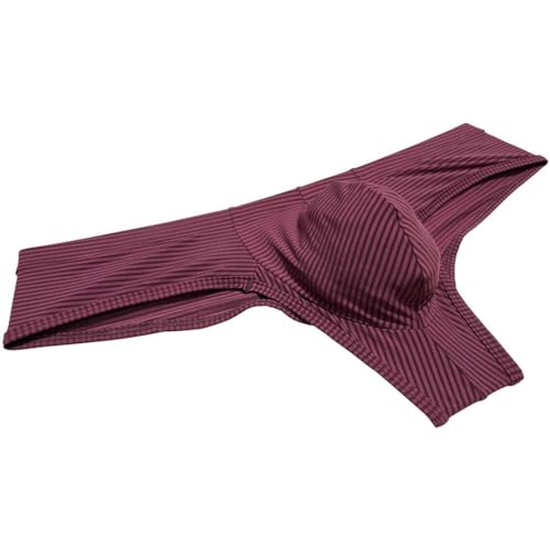 Men Ice Silk Brazilian Bikini Underwear Enhance Pouch Mini Boxer Briefs Hight-Cut Underpants Hipster Boylegs3