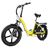 WTVA Ebike for Adult, 750W Step-Thru Ebike 28MPH, 20 Inch Fat Tire Folding Electric Mountain Bike,...