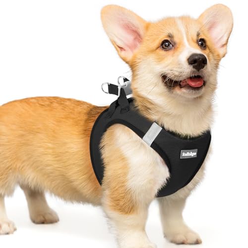 rabbitgoo Hundegeschirr Kleine Hunde, Step-in Welpengeschirr Weich Mesh für Spaziergänge, Atmungsaktives und Reflektierendes Brustgeschirr für Kleine und Mittelgroße Hunde, Schwarz, L