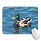 Paket enthalten: 1 * Mauspad. Gaming mouse pad brown duck bunte stockente in ruhiger see green air rutschfeste gummi backing computer mousepad für notebooks maus matten