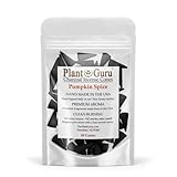 Pumpkin Spice Charcoal Incense Cones 1' TOPFLOW - 50 Pack - Natural Scented Cones Handmade Hand Dipped