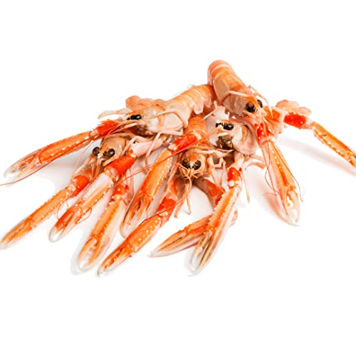 Frozen Whole Scampi (Langoustines) 1kg