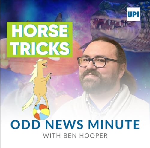 Odds and Ends: Horse tricks, expensive wine