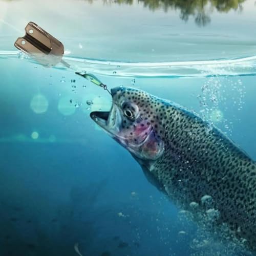 20 piezas de cebadores para pesca de carpa en dos tamaños miniatura 4