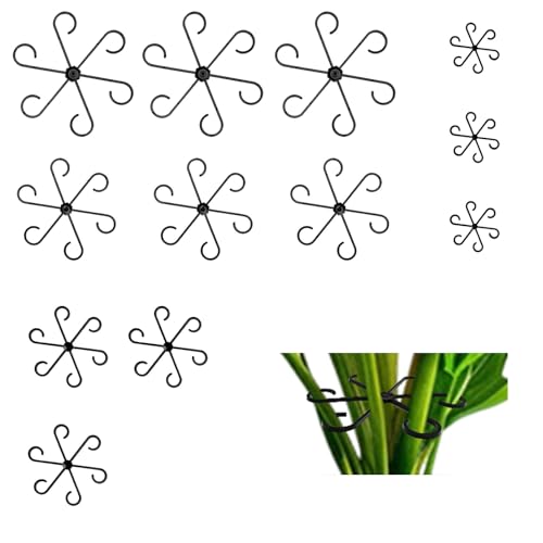 Lot de 12 supports pour plantes grimpantes Monstera et Alocasia, tomates, hortensias