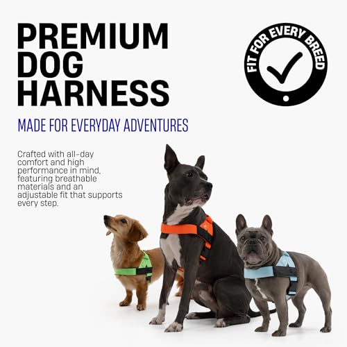Dog Friendly Co. Dog Harness for Large Dogs (Pink, Large) | One Click Buckle, Chafe Resistant Webbing, Adjustable Neck & Chest, and Heavy Duty D-Ring, Sturdy Comfortable and Easy to Use - Image 4
