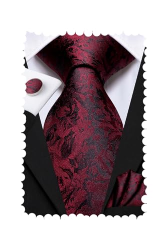 Image of Hi-Tie Paisley Floral Ties Set for Men Silk Mens Stripes Necktie Pocket Square Cufflinks Set Formal Business