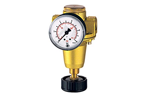 RIEGLER 100870-737.302 - Regulador de presión constante, incluye manómetro, BG 1, G 1/4, 0,5-6 bar, 1 unidad