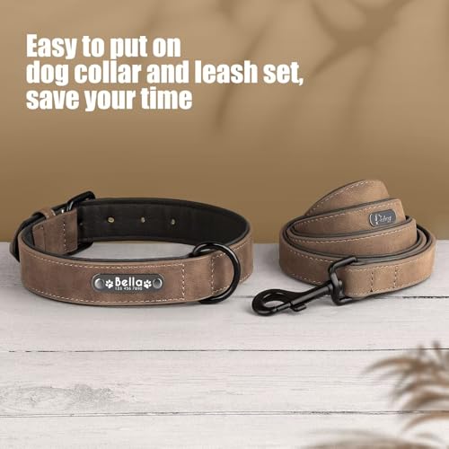 Didog Hundehalsband, weiches, gepolstertes, Leder, mit personalisierbarem, graviertem Namensschild, D-Ring. Für kleine und mittelgroße Hunde geeignet.