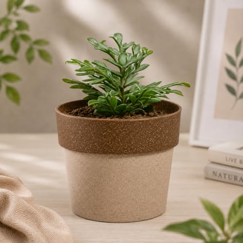 Image of Giftana 6 in 1 Eco Friendly Desk Gift Set with Bottle 500ml, Coffee Cup 350ml, Planter, Pen & Wooden Desk Organizer, Corporate Gift Set for Employees, Office, Men & Women, Birthday & Housewarming Gift