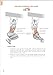 Bodyweight Strength Training Anatomy