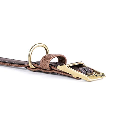 MyFamily Collare per Cane Regolabile in Similpelle...