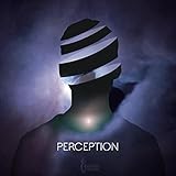  Perception