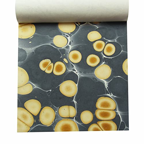 Paperhues Marbled Handmade Scrapbook Papers Collection 12X12" Pad, 24 Sheets. #TOP2