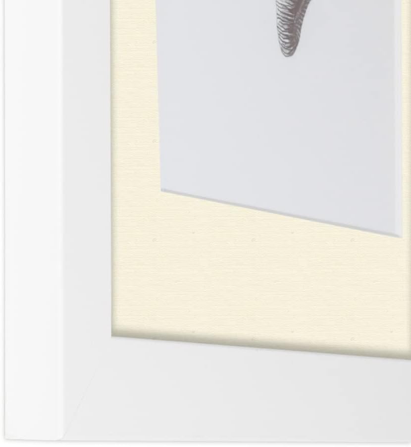 ArtToFrames 10x16 inch Satin White Frame Picture Frame with 2 Inch Single Ivory Mat, SingleMat-FRBW26074-10x16-81
