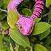 TiTiC 3D Printed Snake Toys,Articulated Flexible 3D Printed Viper Fidget Toy,Realistic Slithering Design, Collectible Articulated Model (Pink White, 18 in)