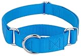Country Brook Petz - Martingale Dog Collar - Heavy-Duty Training Collar with No Buckle - Service Dog Collar for All Pups - 20 Vibrant Colors (Ice Blue, 3/8 Inch, 2XS)