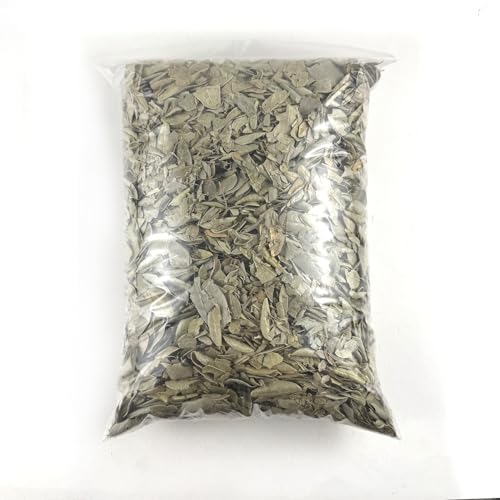 Boldo – Boldo Chileno (Peumus Boldus) en hojas sueltas, Boldo Herbal Tea; infusión para bienestar digestivo, efecto relajante suave y apoyo antioxidante; sabor intenso y aromático