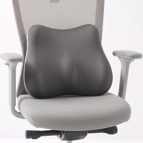 LuminaSleep Lumbar Support Pillow, Ergonomic Memory Foam Back Cushion for Car Office Chair Gaming Chair, Washable Cool-Touch Cover for Lower Back Support (Dark Grey)