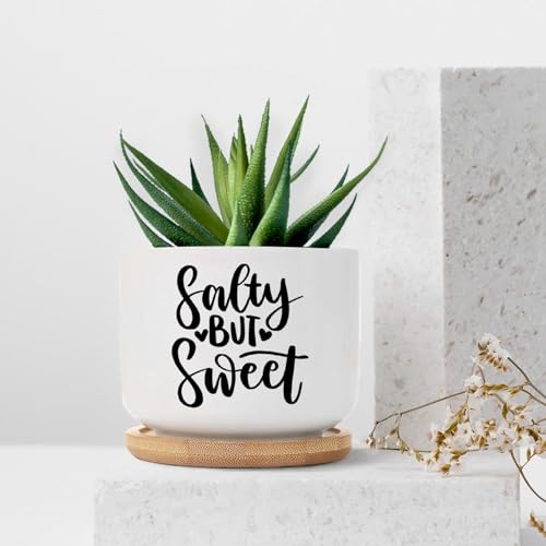 DreamAutumn Salty But Sweet Planter Ceramic Round Plant Pots with Drainage Holes and Bamboo Tray Planting Small Flower Pots for Home Windowsill Desk Garden Indoor Outdoor Use - Thumbnail 7