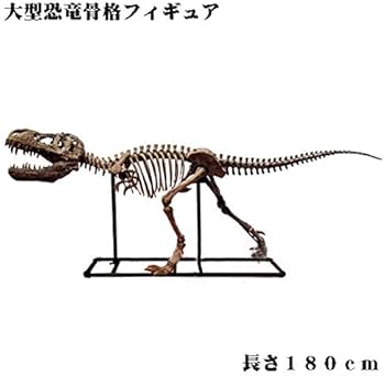 Amazon | 恐竜骨格フィギュア ヴェロキラプトル Velociraptor[予約 Amazon | 恐竜骨格フィギュア ヴェロキラプトル Velociraptor[予約