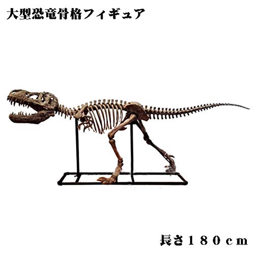 恐竜骨格フィギュア Amazon | 恐竜骨格フィギュア ヴェロキラプトル Velociraptor