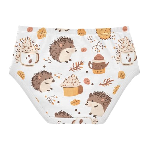 Wusikd Cute Hedgehogs Girls' Underwear Cotton Cookies Girls Briefs Soft Toddler Underwear 2T2