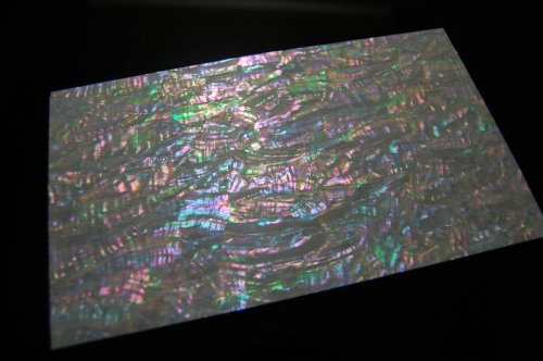 Prism Abalone Wide Veneer Sheet