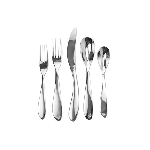 SplendideAndorra 45-Piece Flatware Set