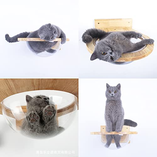 Myoyay Wall-Mounted Cat Space Capsule Transparent Cat Bed Solid Wood Cat House Providing Space For Cats To Play Pet Wall Furniture For Indoor Small/Medium/Large Cats #TOP1